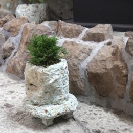 石 花器 stonesclub_r-9